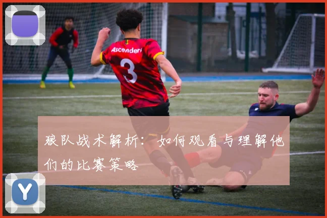 狼队战术解析：如何观看与理解他们的比赛策略