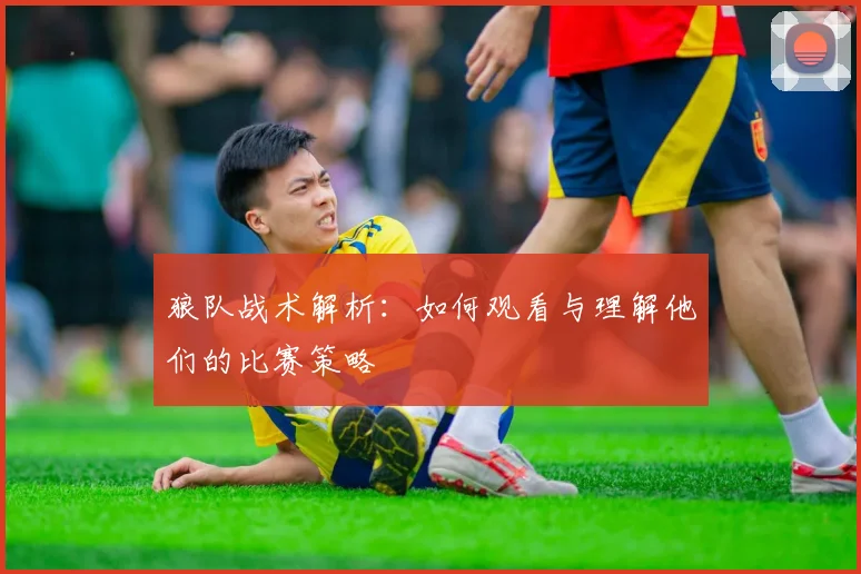 狼队战术解析：如何观看与理解他们的比赛策略