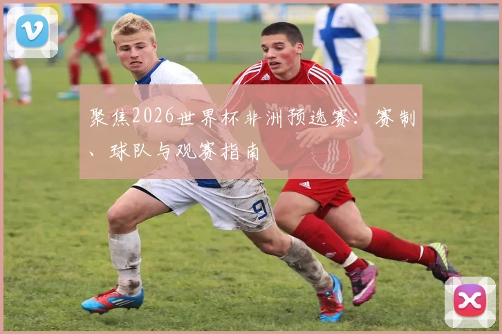 聚焦2026世界杯非洲预选赛：赛制、球队与观赛指南
